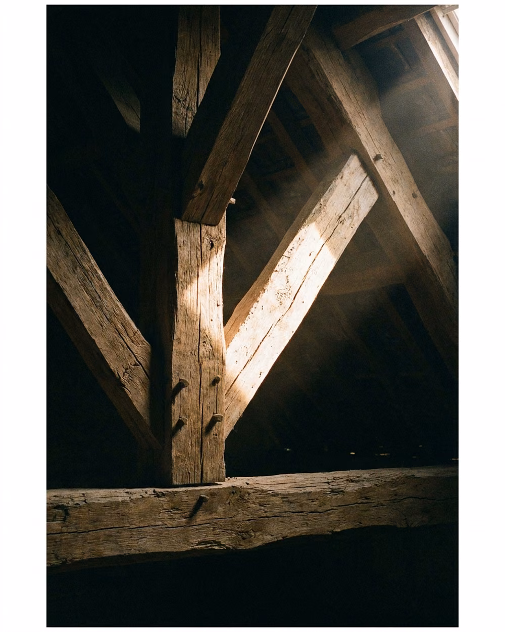 Charpente ancienne en chêne mise à nu, lumière rasante