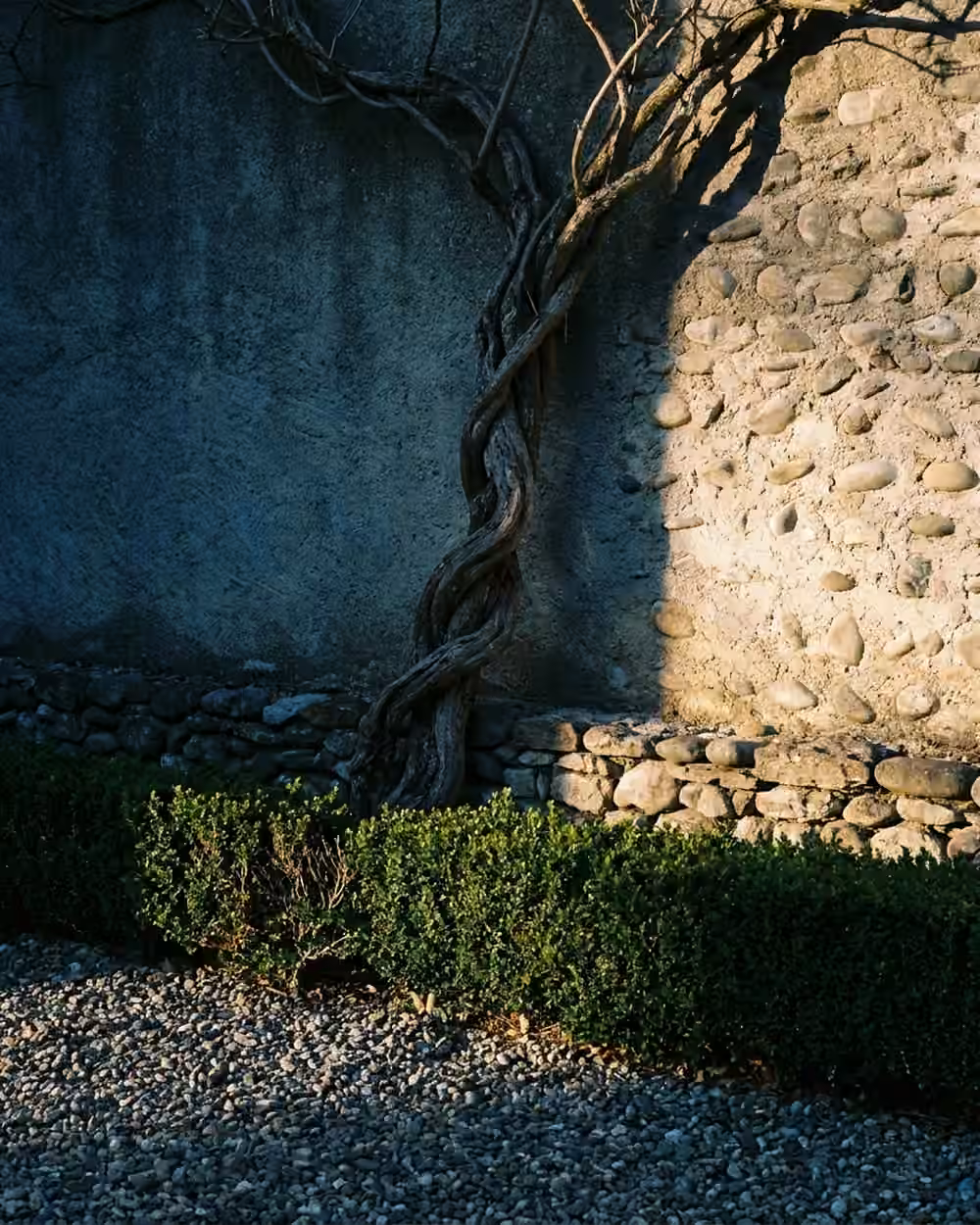 Seuil de maison ancienne ouvrant sur un jardin clos